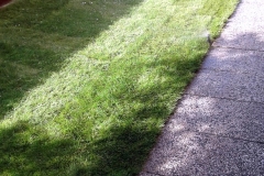 Automatická závlaha