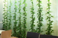 Interiérové dekorace