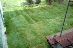 Pokládka travního koberce - Košíře