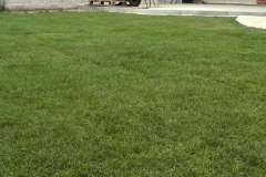 Realizace zahrady - Praha Ďáblice