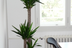 Realizace interiérových dekorací