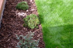 Realizace zahrady - Hlubočepy