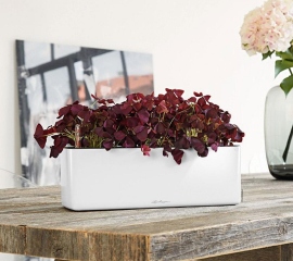 03-cube_-glossy_-triple