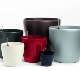 05-kvetinac__classico