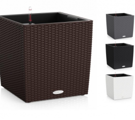 06-kvetinac__cube__cottage