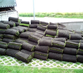 Travní koberec pro plochu 180m2