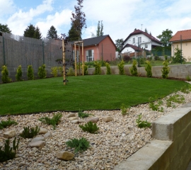 03-spravne_zalozeny_travnik