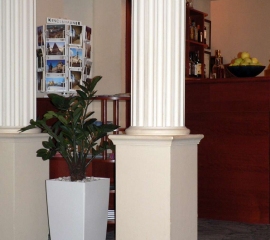 umělý zamioculcas v hotelu.jpg