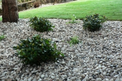 Realizace zahrady - Rtišovice