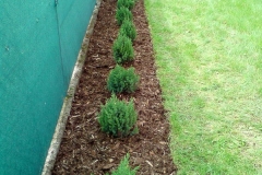 Realizace zahrady - výsadba živého plotu