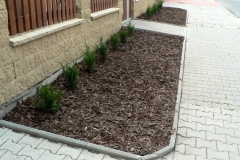 Výsadba živého plotu