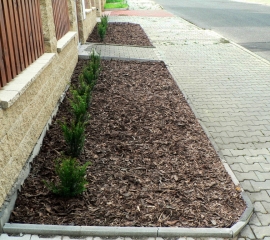 budoucÃ­ Å¾ivÃ½ plot z TisÅ¯