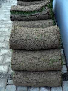 Role travních koberců