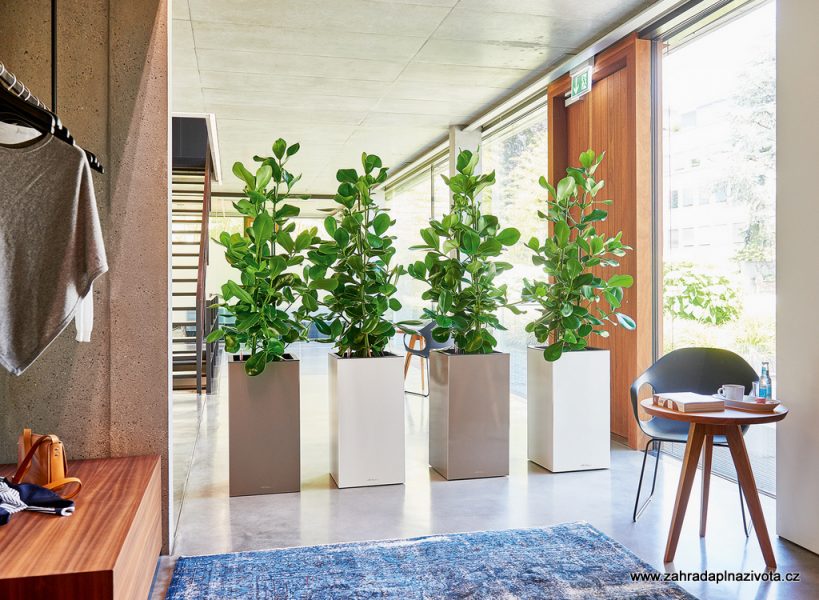 Samozavlažovací květináče