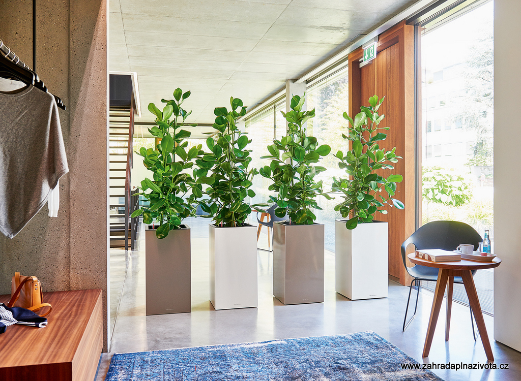 Samozavlažovací květináče