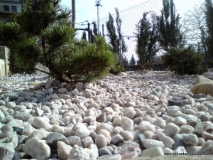 Vymývaný kačírek 16/32