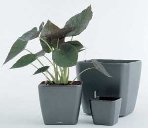 Květináč se samozavlažovacím systémem Květináč se samozavlažovacím systémem