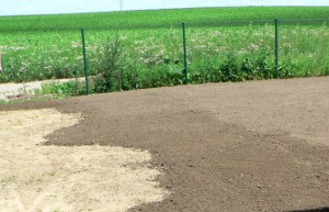 zemina pod trávník